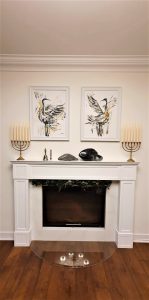 Tańczące ptaki obraz